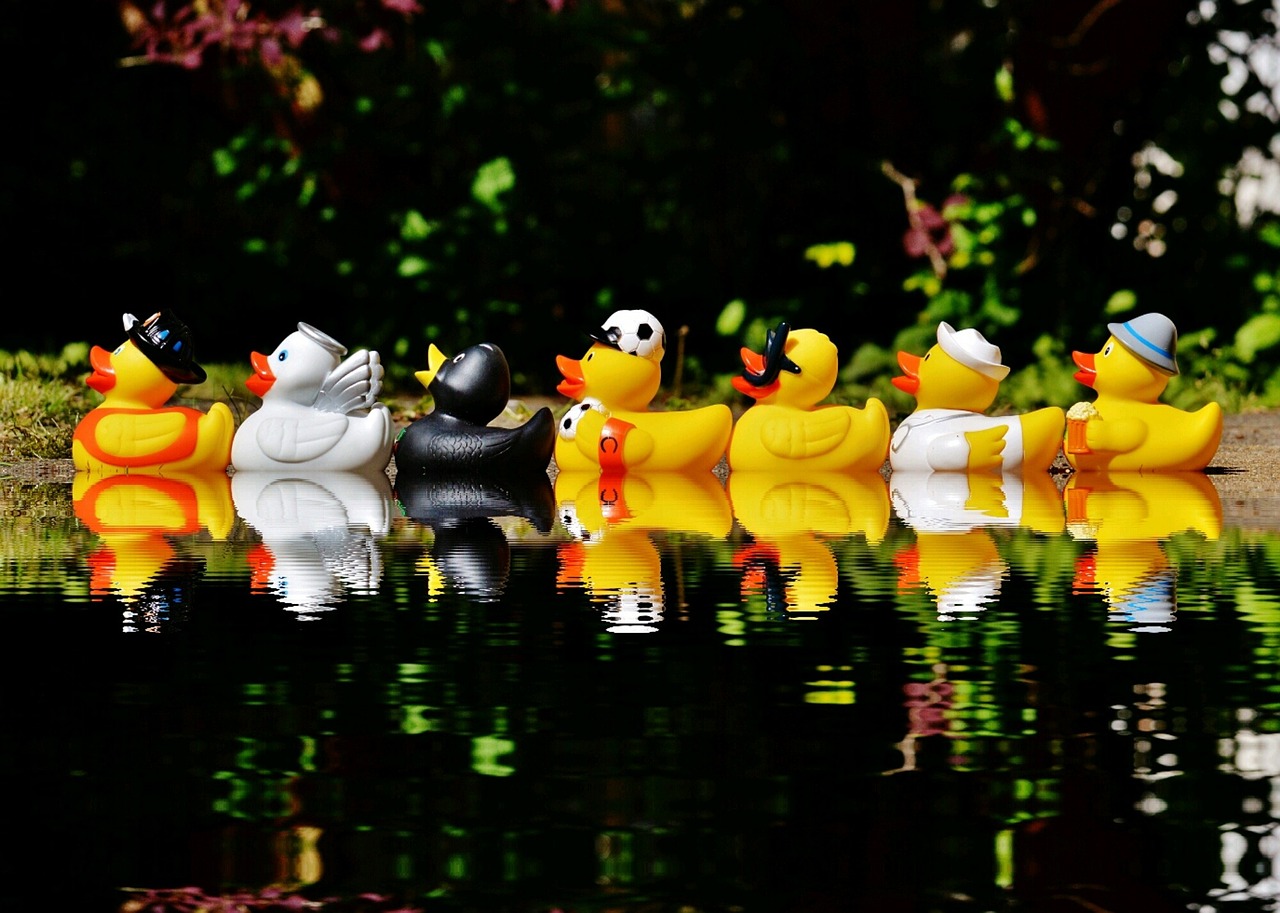 rubber-ducks-1408308_1280