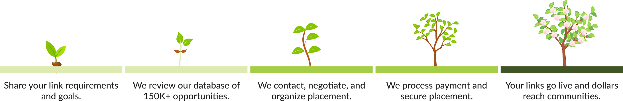 plants