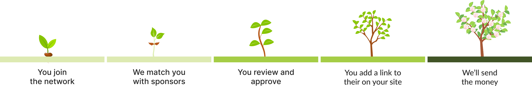 plants