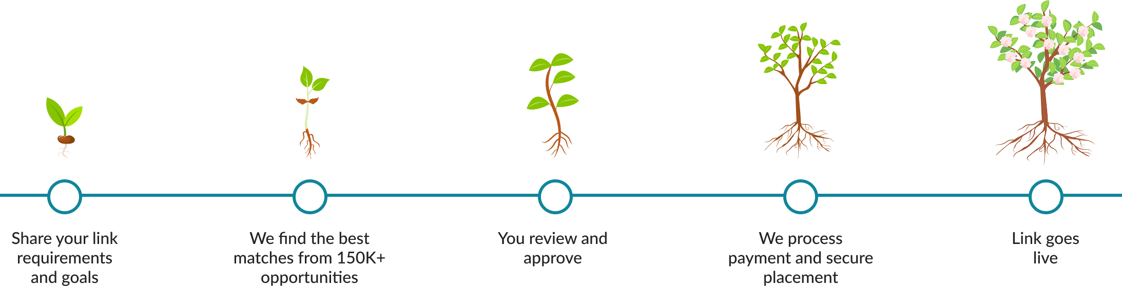 plants